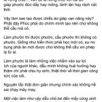 IMG_8458.jpeg