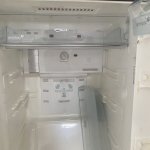 IMG_8515.jpeg
