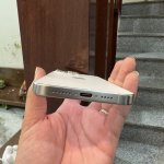 IMG_2127.jpeg