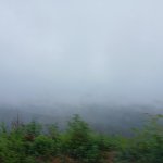 1000001092.jpg