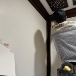 EB51914B-A8D3-47C3-B2E3-B3973A0C0769.jpeg