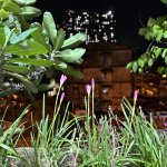 DB630393-CF0B-4F9E-BFC5-1CD5954365F2.jpeg