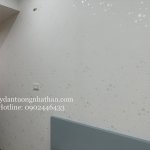 6853B505-3638-4D65-98CB-44113776A622.jpeg