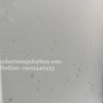 B4583DF9-A760-43AC-B7BA-0278A0693242.jpeg