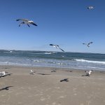 IMG_7610.JPG