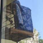 IMG_1938.jpeg
