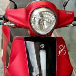 IMG_4704.jpeg