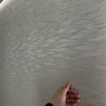 E005751F-79A1-413D-91F7-D8B640A91E04.jpeg