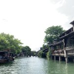 IMG_5685.jpeg
