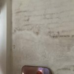 IMG_20250802_193029.jpg