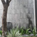 IMG_6272.jpeg