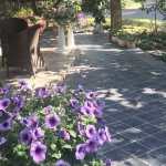 IMG_0970.jpeg