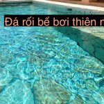IMG_5615.jpeg