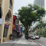 gen-h-nhà phố Nguyenx Khuyến cần bán.jpg
