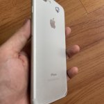 IMG_6909.jpeg