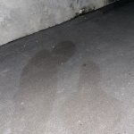 IMG_1062.jpeg