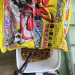 IMG_9326.jpeg