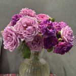 IMG_1009.jpeg