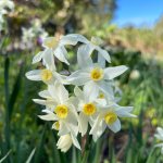 IMG_0344.jpeg