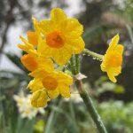 IMG_0346.jpeg