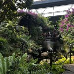 IMG_1890.jpeg
