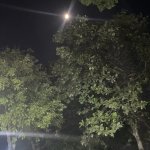 IMG_1112.jpeg