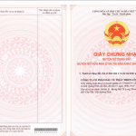 mặt trước sổ đỏ.png
