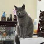 IMG_0668.jpeg