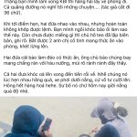 IMG_4303.jpeg