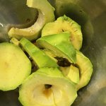 IMG_9646.jpeg