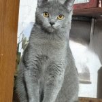 IMG_0935.jpeg