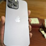 IMG_3959.jpeg
