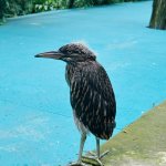 IMG_1304.jpeg