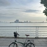 IMG_5559.jpeg