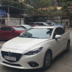 IMG_0285.jpeg