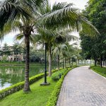 IMG_1603.jpg