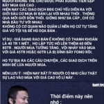 IMG_8811.png