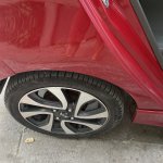 IMG_8021.jpeg