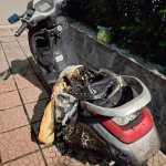 IMG_3147.jpeg