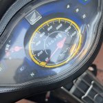 IMG_0906.jpeg
