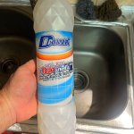 IMG_0795.jpeg