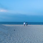 IMG_7828.jpeg