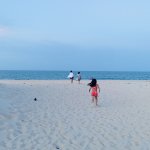 IMG_7829.jpeg