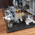 IMG_1335.jpeg