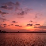 IMG_9560.jpeg