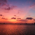 IMG_9559.jpeg
