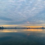 IMG_5686.jpeg