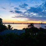 IMG_9969.jpeg