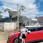 IMG_6862.jpeg