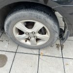 IMG_6304.jpeg